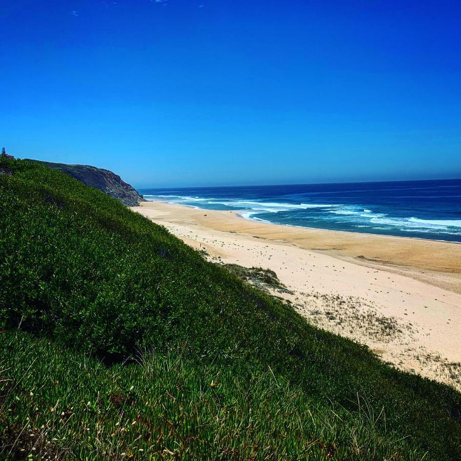 Pines Of Salgado Beachview Villa By Book Yourholiday Pt Nazaré Kültér fotó